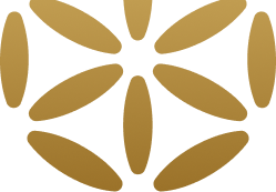 img vector